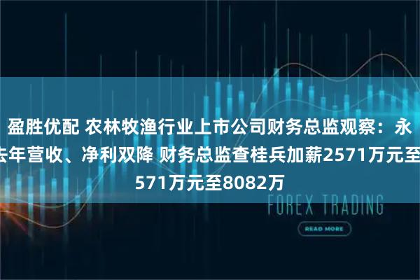 盈胜优配 农林牧渔行业上市公司财务总监观察：永安林业去年营收、净利双降 财务总监查桂兵加薪2571万元至8082万