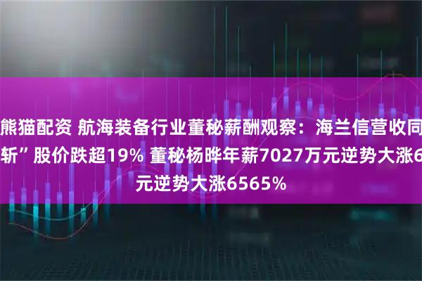 熊猫配资 航海装备行业董秘薪酬观察：海兰信营收同比“腰斩”股价跌超19% 董秘杨晔年薪7027万元逆势大涨6565%