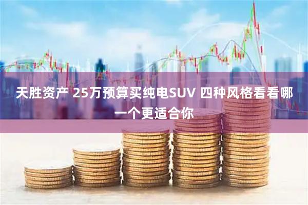 天胜资产 25万预算买纯电SUV 四种风格看看哪一个更适合你