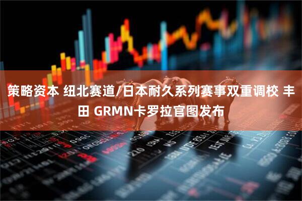 策略资本 纽北赛道/日本耐久系列赛事双重调校 丰田 GRMN卡罗拉官图发布