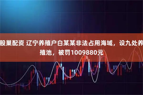 股巢配资 辽宁养殖户白某某非法占用海域，设九处养殖池，被罚1009880元