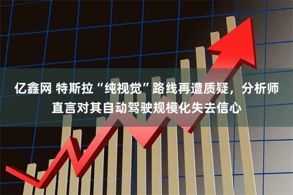 亿鑫网 特斯拉“纯视觉”路线再遭质疑，分析师直言对其自动驾驶规模化失去信心